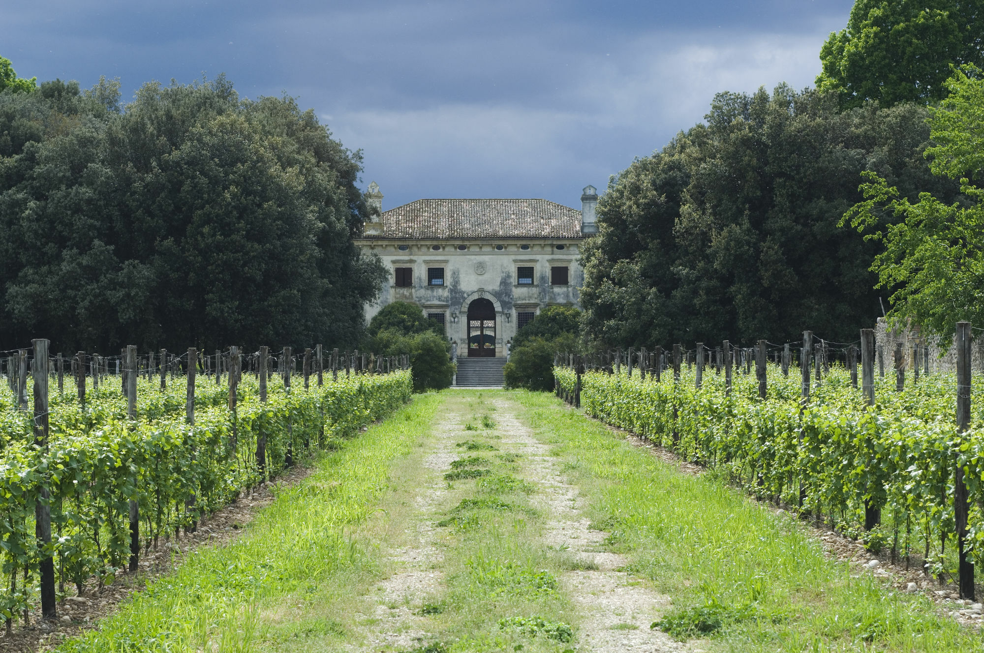 Relais Villa Sagramoso Sacchetti Verona Exterior photo